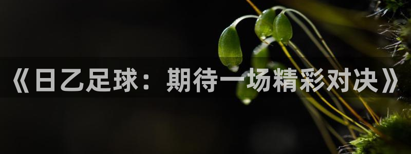 《日乙足球：期待一场精彩对决》