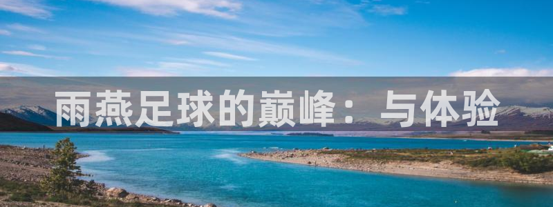 雨燕足球的巅峰：与体验