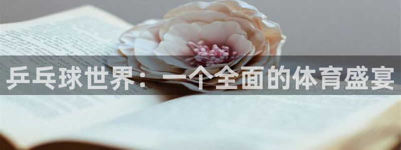 乒乓球世界：一个全面的体育盛宴